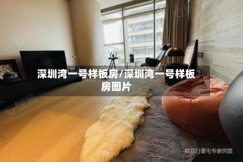 深圳湾一号样板房/深圳湾一号样板房图片-第1张图片