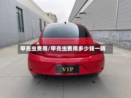 甲壳虫费用/甲壳虫费用多少钱一辆-第1张图片