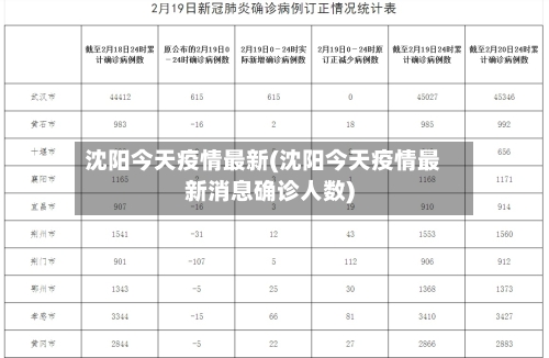 沈阳今天疫情最新(沈阳今天疫情最新消息确诊人数)-第1张图片