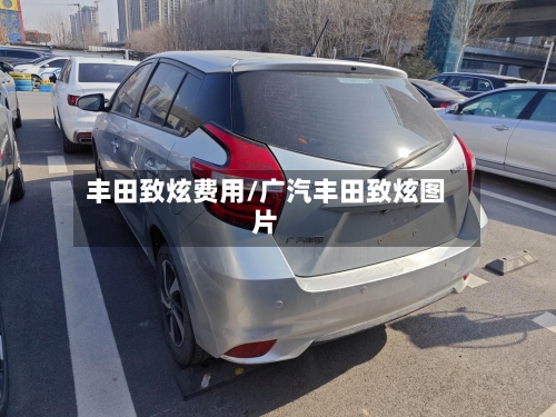 丰田致炫费用/广汽丰田致炫图片-第1张图片