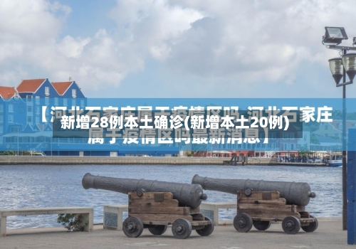 新增28例本土确诊(新增本土20例)