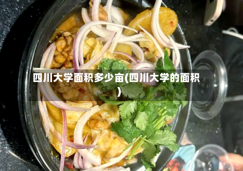 四川大学面积多少亩(四川大学的面积)