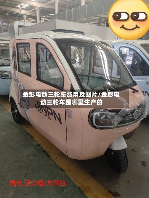 金彭电动三轮车费用及图片/金彭电动三轮车是哪里生产的
