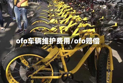 ofo车辆维护费用/ofo赔偿