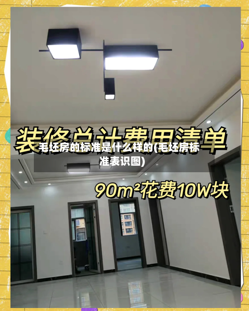 毛坯房的标准是什么样的(毛坯房标准表识图)