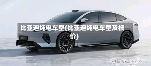 比亚迪纯电车型(比亚迪纯电车型及报价)