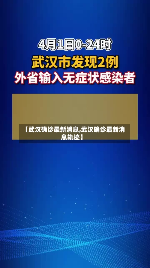 【武汉确诊最新消息,武汉确诊最新消息轨迹】