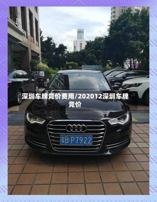 深圳车牌竞价费用/202012深圳车牌竞价