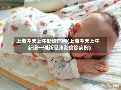 上海今天上午新增病例(上海今天上午新增一例新冠肺炎确诊病例)-第1张图片