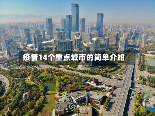 疫情14个重点城市的简单介绍