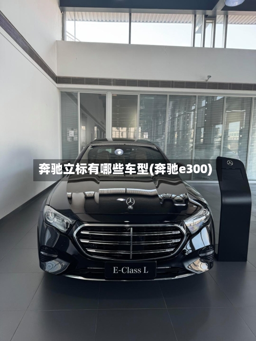 奔驰立标有哪些车型(奔驰e300)