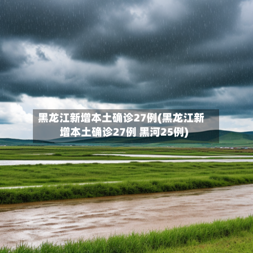 黑龙江新增本土确诊27例(黑龙江新增本土确诊27例 黑河25例)