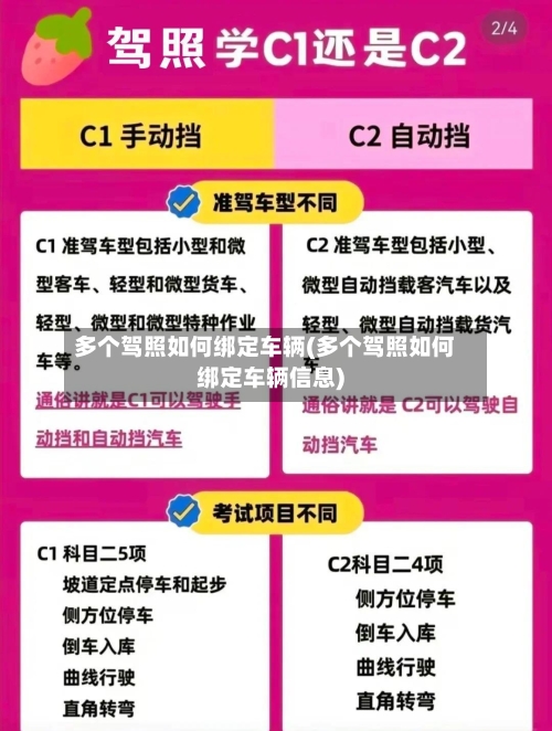 多个驾照如何绑定车辆(多个驾照如何绑定车辆信息)