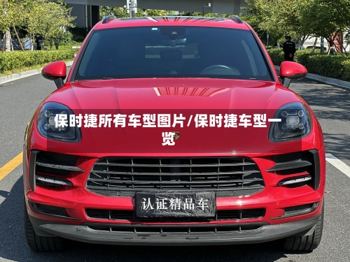 保时捷所有车型图片/保时捷车型一览