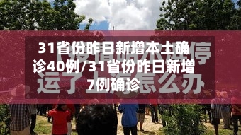 31省份昨日新增本土确诊40例/31省份昨日新增7例确诊