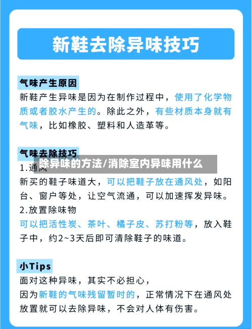 除异味的方法/消除室内异味用什么