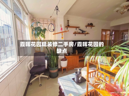 霞晖花园精装修二手房/霞晖花园的缺点
