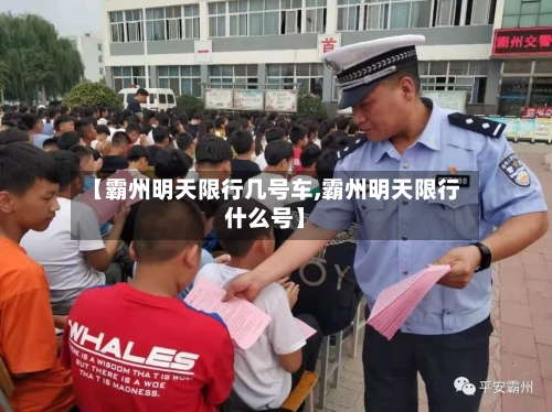 【霸州明天限行几号车,霸州明天限行什么号】