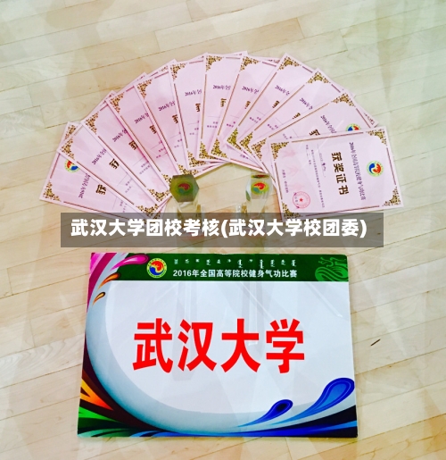 武汉大学团校考核(武汉大学校团委)