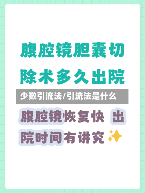 少数引流法/引流法是什么