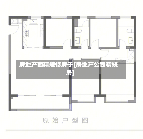房地产商精装修房子(房地产公司精装房)