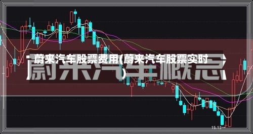 蔚来汽车股票费用(蔚来汽车股票实时)