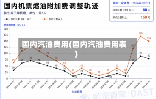 国内汽油费用(国内汽油费用表)