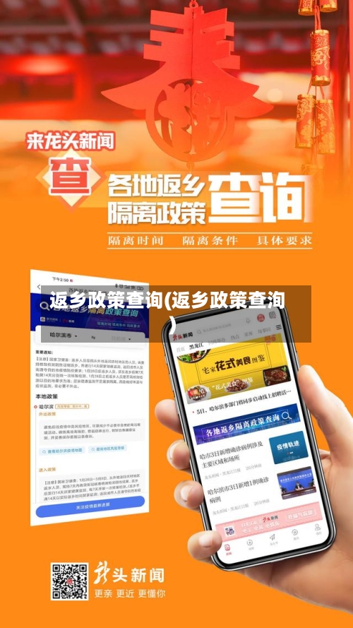 返乡政策查询(返乡政策查洵)