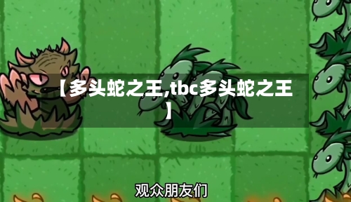【多头蛇之王,tbc多头蛇之王】