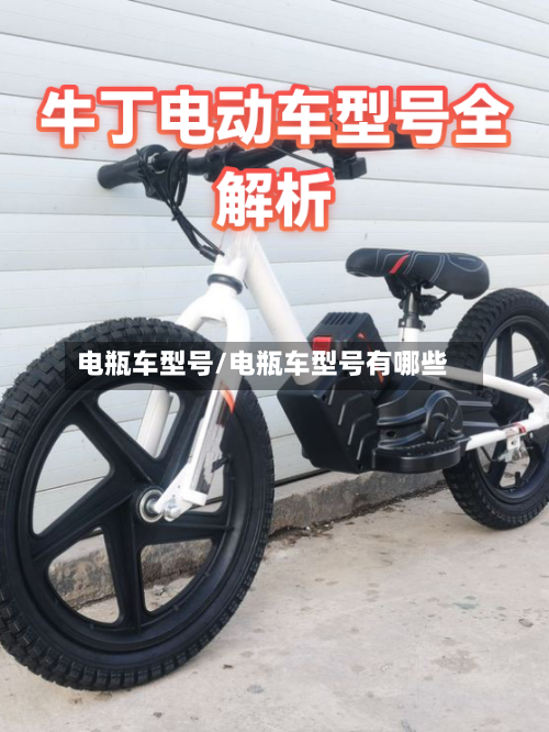 电瓶车型号/电瓶车型号有哪些