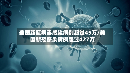 美国新冠病毒感染病例超过45万/美国新冠感染病例超过427万