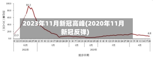 2023年11月新冠高峰(2020年11月新冠反弹)
