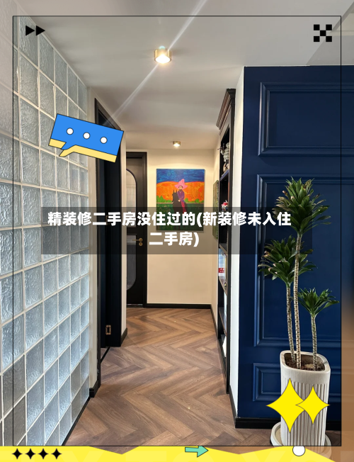 精装修二手房没住过的(新装修未入住二手房)