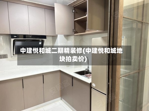 中建悦和城二期精装修(中建悦和城地块拍卖价)