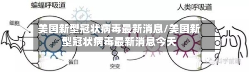 美国新型冠状病毒最新消息/美国新型冠状病毒最新消息今天
