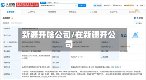 新疆开啥公司/在新疆开公司
