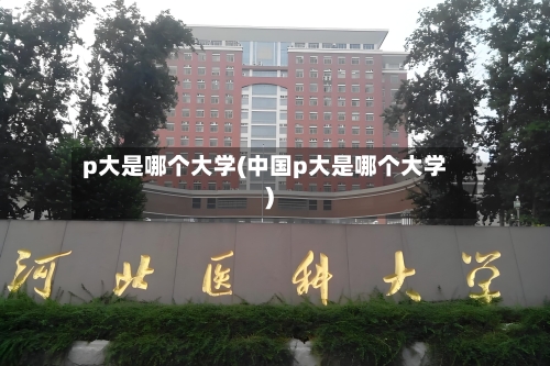 p大是哪个大学(中国p大是哪个大学)