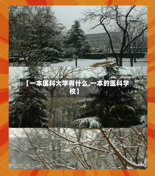 【一本医科大学有什么,一本的医科学校】