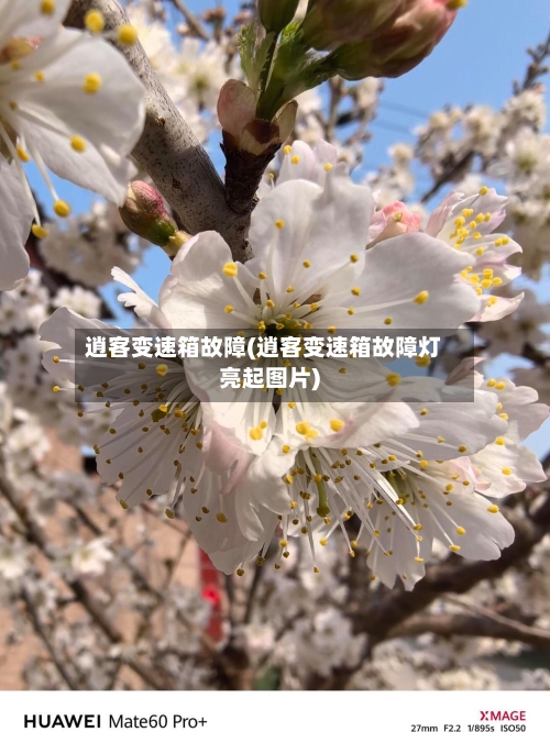 逍客变速箱故障(逍客变速箱故障灯亮起图片)