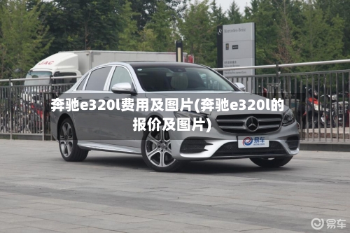 奔驰e320l费用及图片(奔驰e320l的报价及图片)