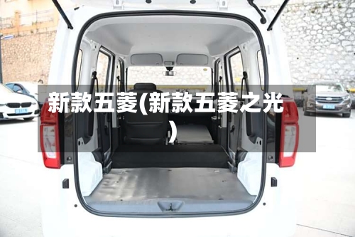 新款五菱(新款五菱之光)