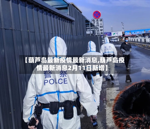 【葫芦岛最新疫情最新消息,葫芦岛疫情最新消息2月11日新增】