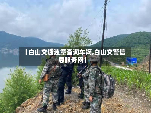 【白山交通违章查询车辆,白山交警信息服务网】