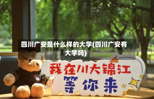四川广安是什么样的大学(四川广安有大学吗)