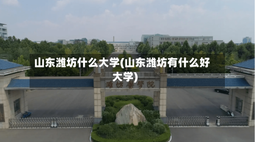 山东潍坊什么大学(山东潍坊有什么好大学)