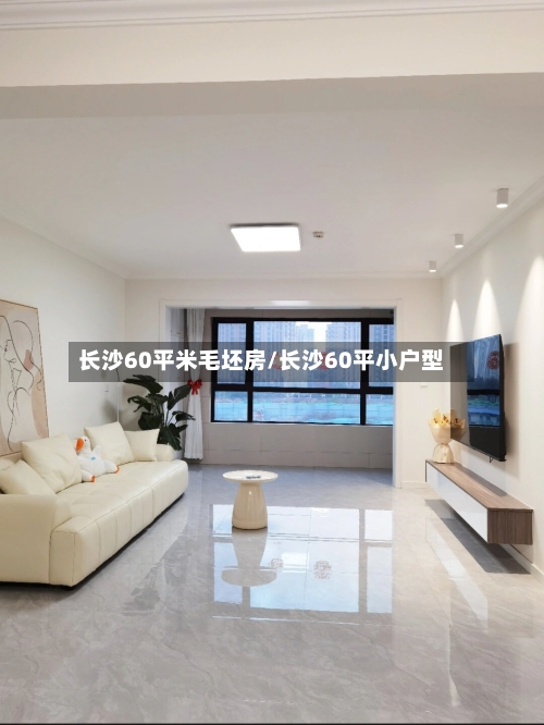 长沙60平米毛坯房/长沙60平小户型