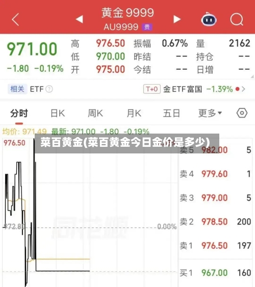 菜百黄金(菜百黄金今日金价是多少)