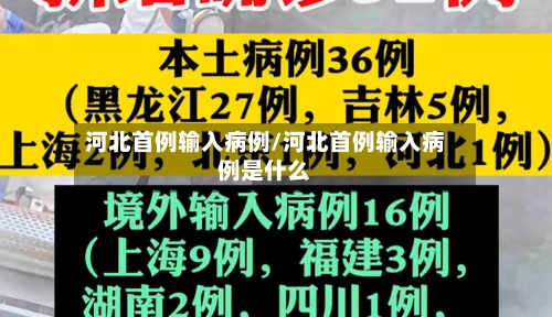 河北首例输入病例/河北首例输入病例是什么