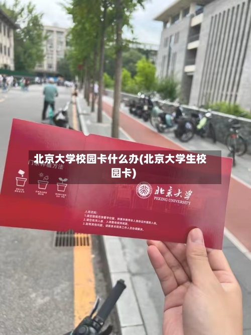 北京大学校园卡什么办(北京大学生校园卡)
