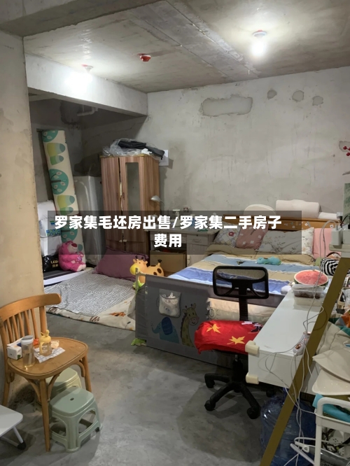 罗家集毛坯房出售/罗家集二手房子费用
